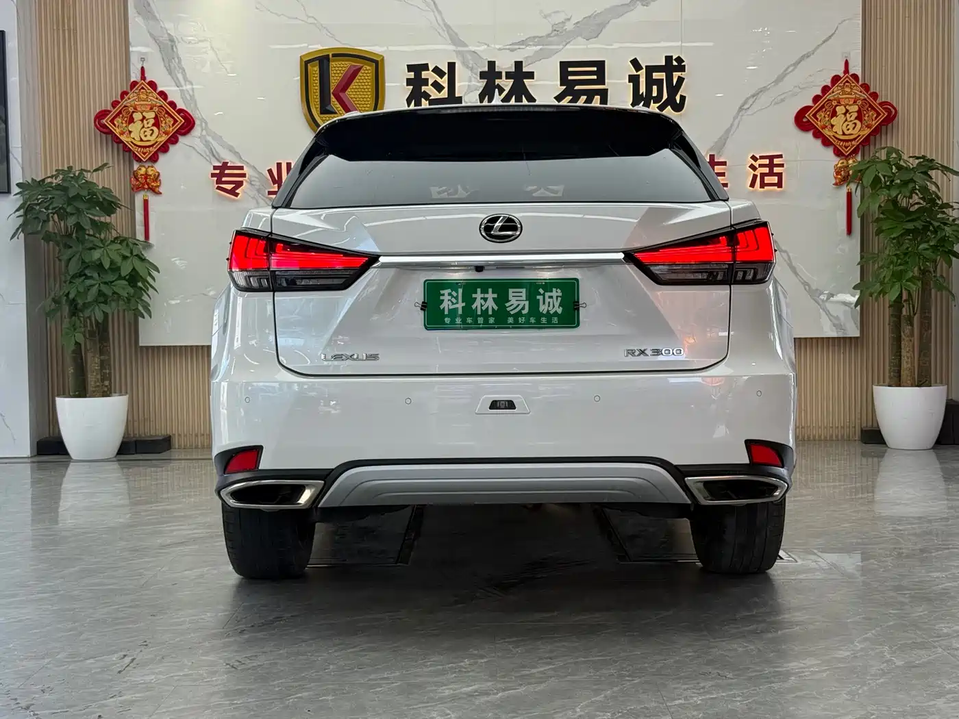 Lexus RX 2020 300 4WD Elegance Edition China VI фото 32