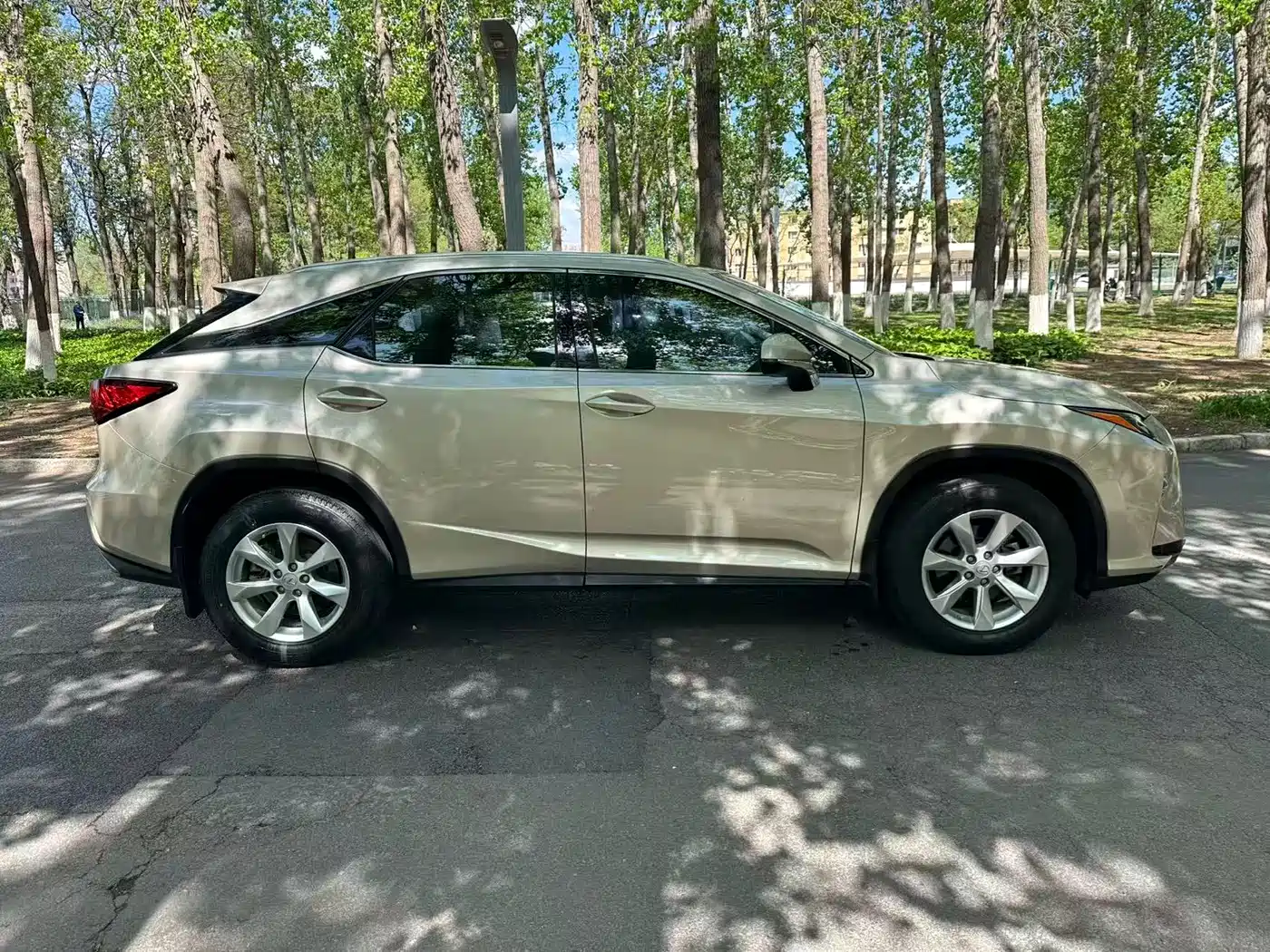 LEXUS RX