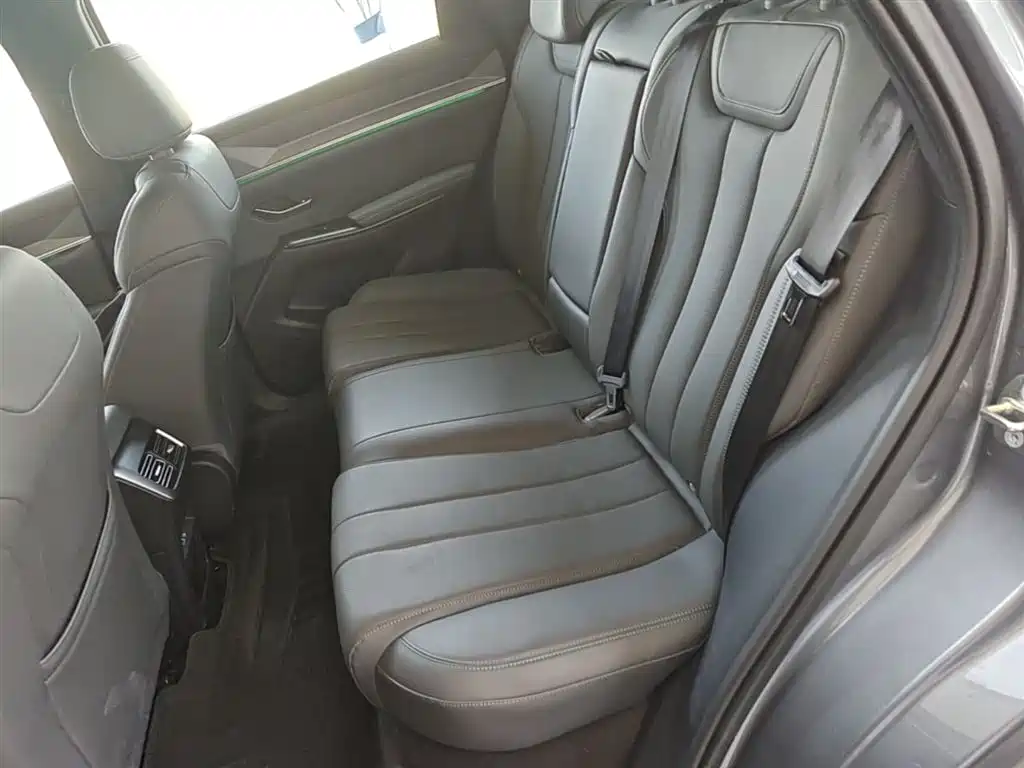BYD Song Pro New Energy 2025 2nd Generation Smart Drive Edition DM-i 115KM Surpassing Type фото 17