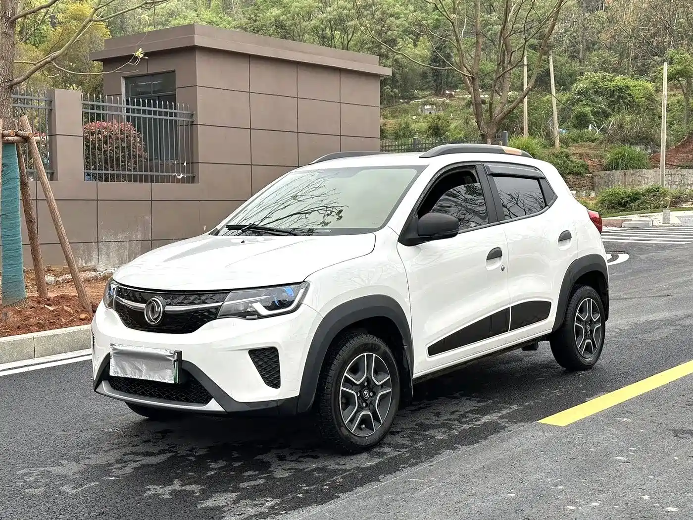 2022 Dongfeng Yipai Dongfeng Nano EX1