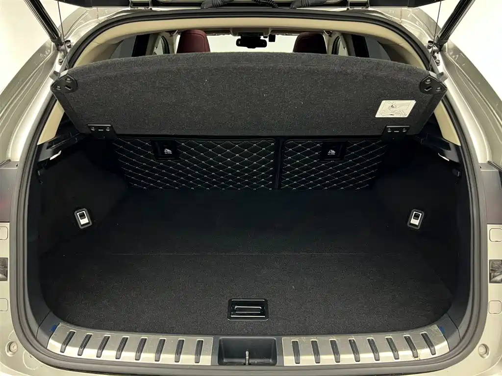 Lexus NX 2020 200 AWD F Sport China VI фото 13