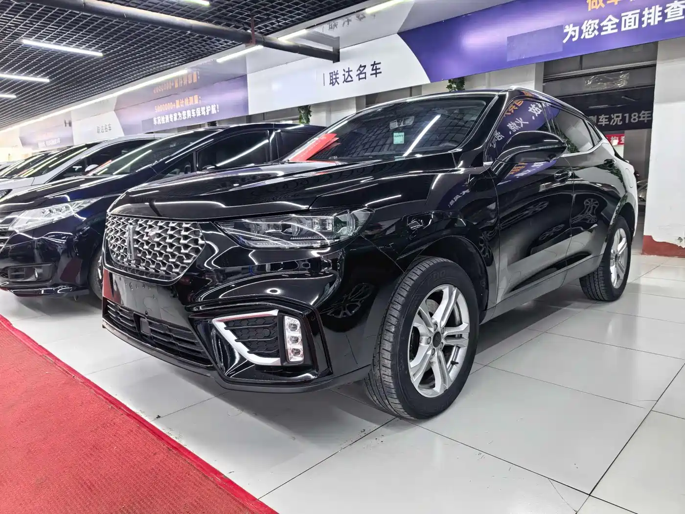 WEI PAI WEI BRAND VV5