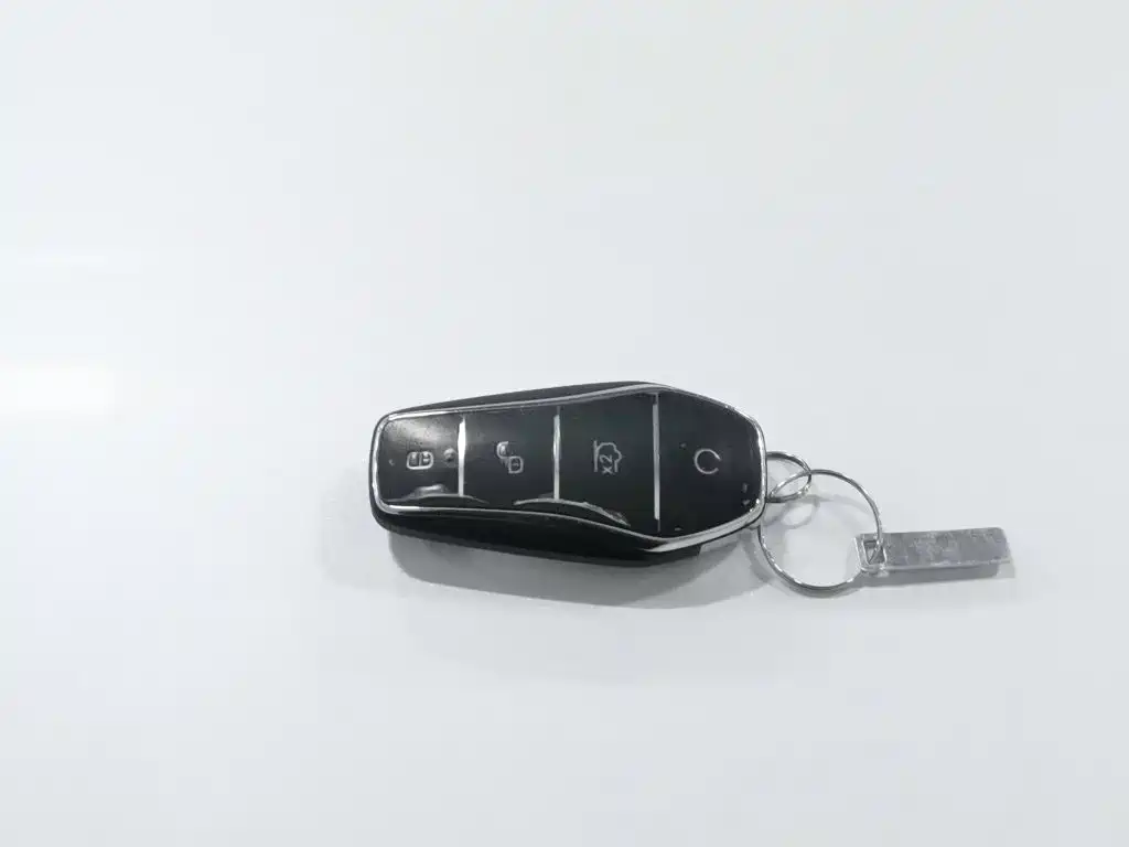 BYD Seal 2023 2023 DM-i 1.5L 121km Premium