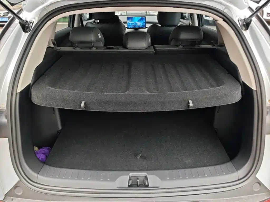BYD Yuan PLUS 2025 2025 Model Intelligent Driving Edition 510KM Leading Version