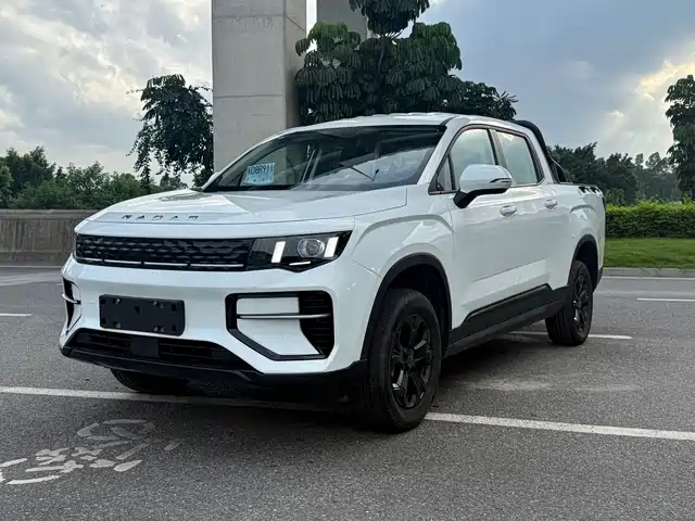  Geely Radar Radar King Kong 2025 430km 2WD Standard Cargo Wealth Guardian
