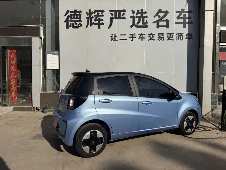 Sehol Flower Fairy 2023 2023 Anniversary Edition 306km Lavender 30kW