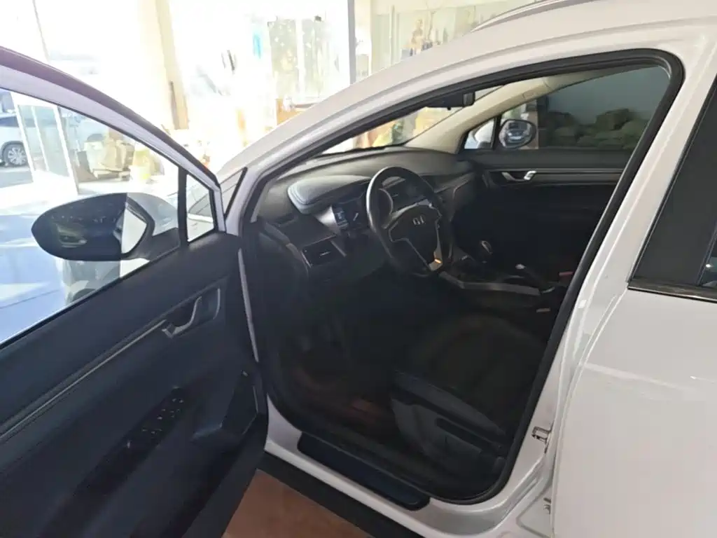 صورة 16 - Geely Emgrand GS