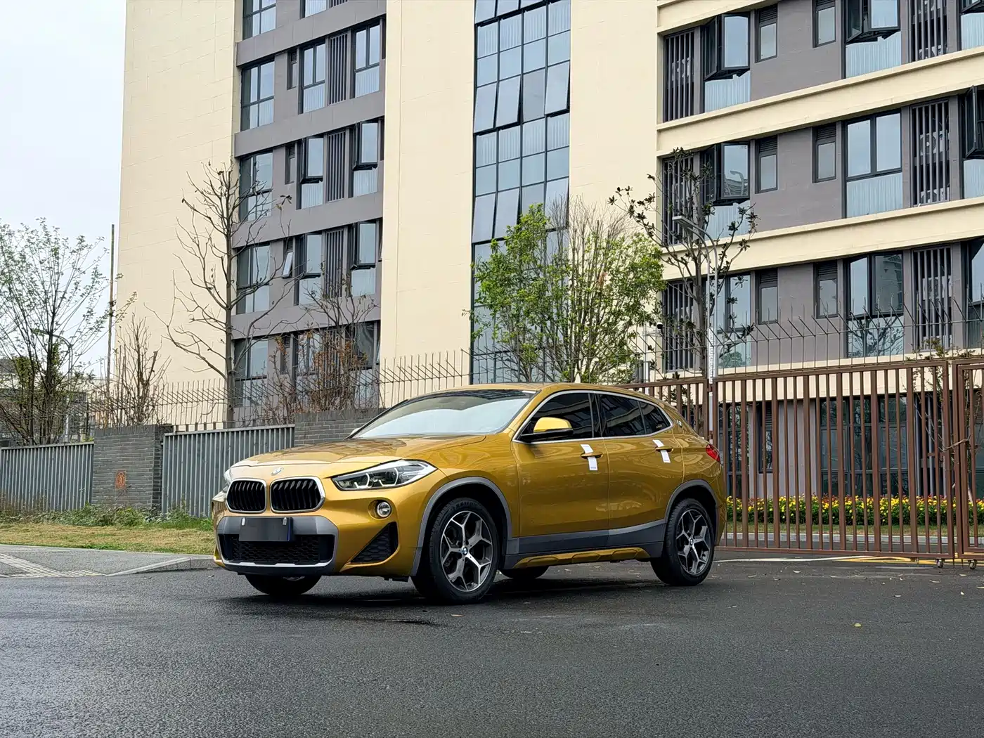 BMW X2 (Import) 2019 sDrive20i M Off-Road Package China VI