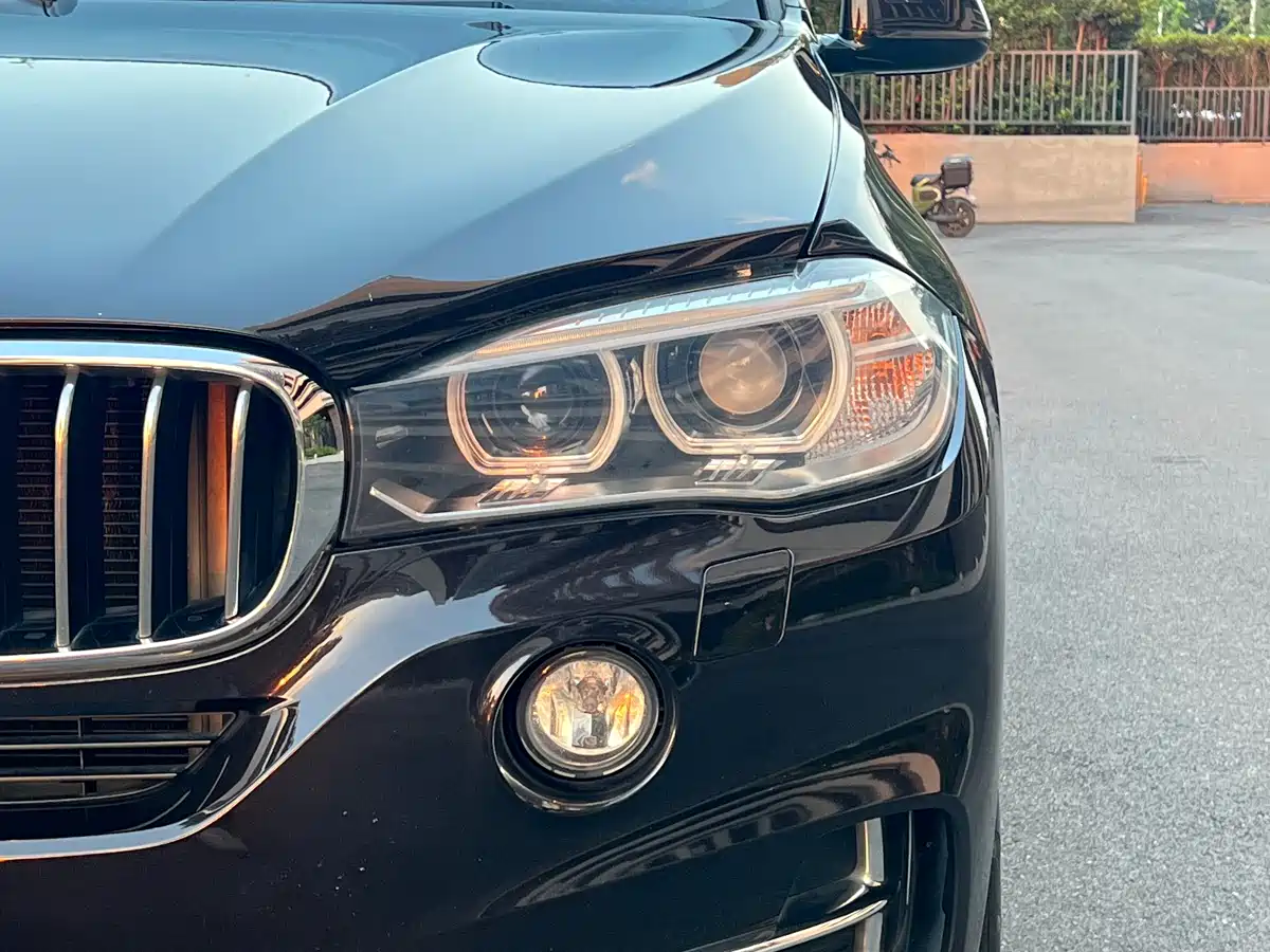 BMW X5 (Import) 2017 xDrive35i Luxury Edition фото 9