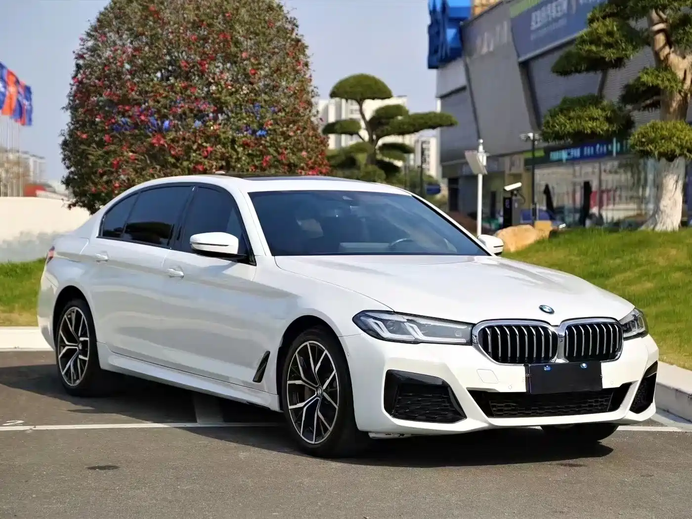 BMW 5 Series 2022 Facelift II 530Li Premium Package M Sport фото 3
