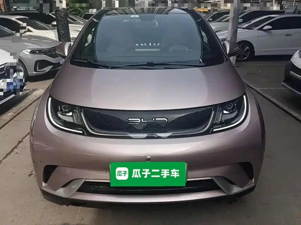 BYD Dolphin 2023 420km Fashion Edition фото 3