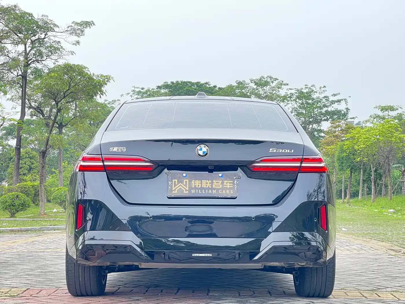 BMW 5 Series 2026 530Li Leading M Sport Package фото 5