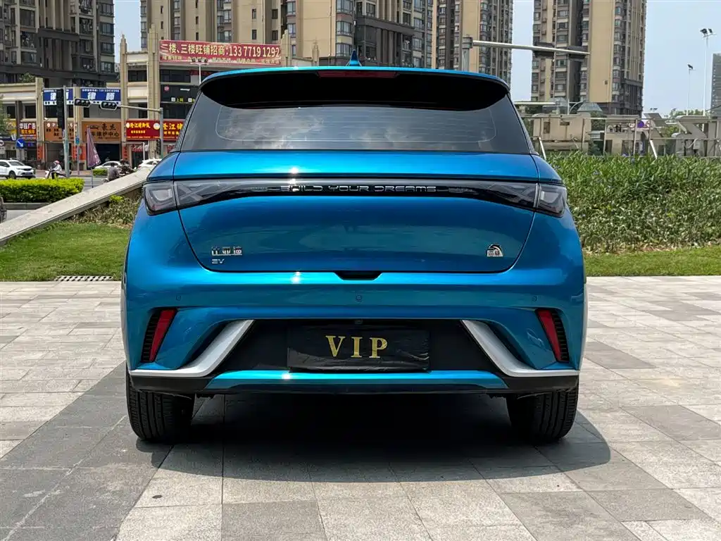 BYD Dolphin 2021 Model 405km Fashion Edition фото 6