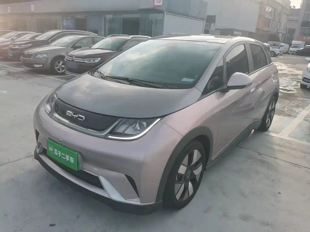 Фото 2 - BYD Dolphin