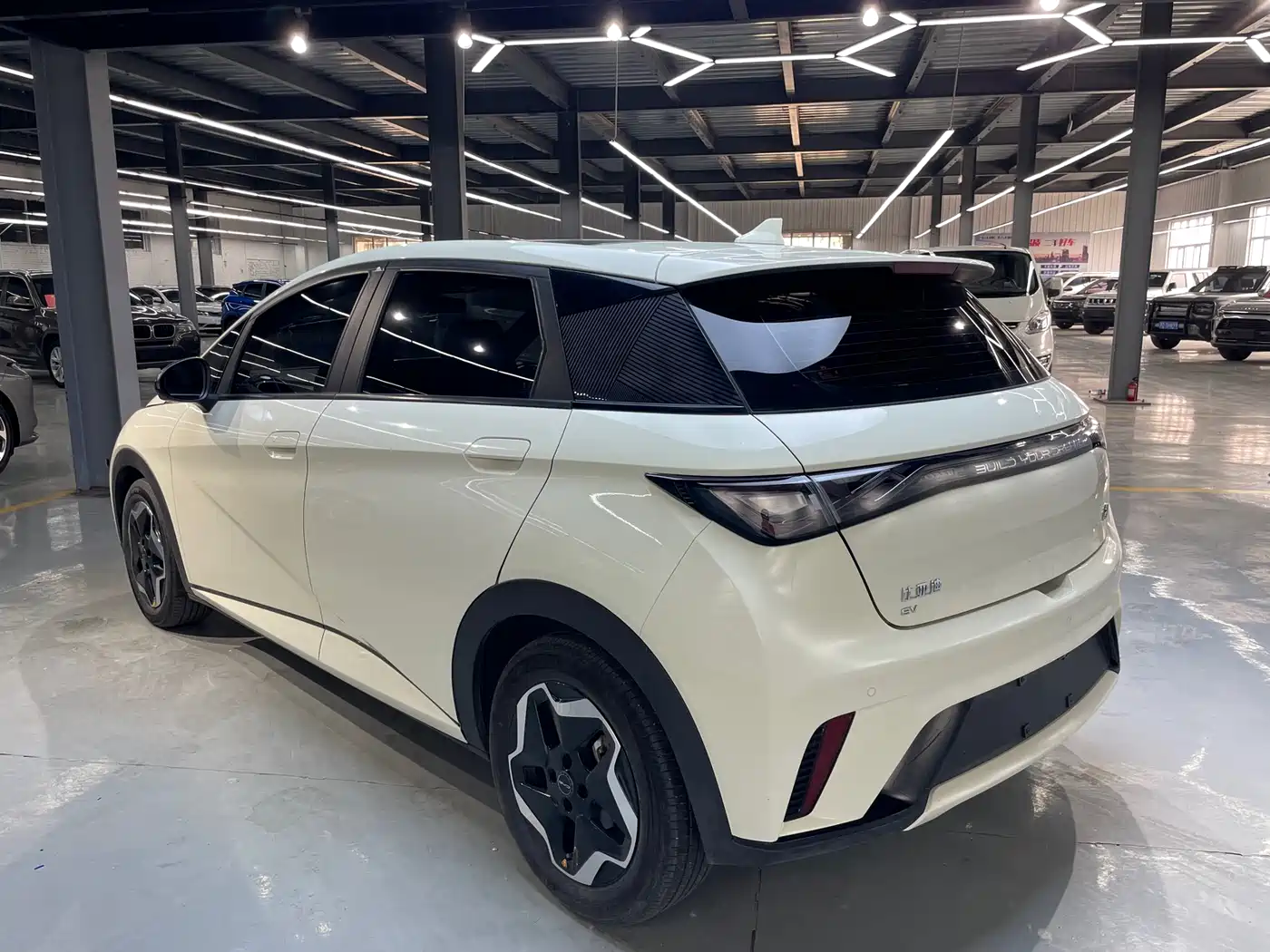 BYD Dolphin 2021 Model 405km Fashion Edition фото 18
