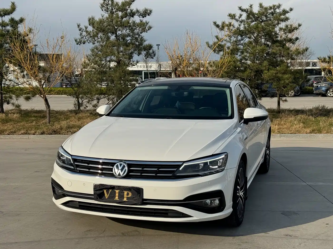 Volkswagen Lamando 2019 280TSI DSG Luxury Edition China VI