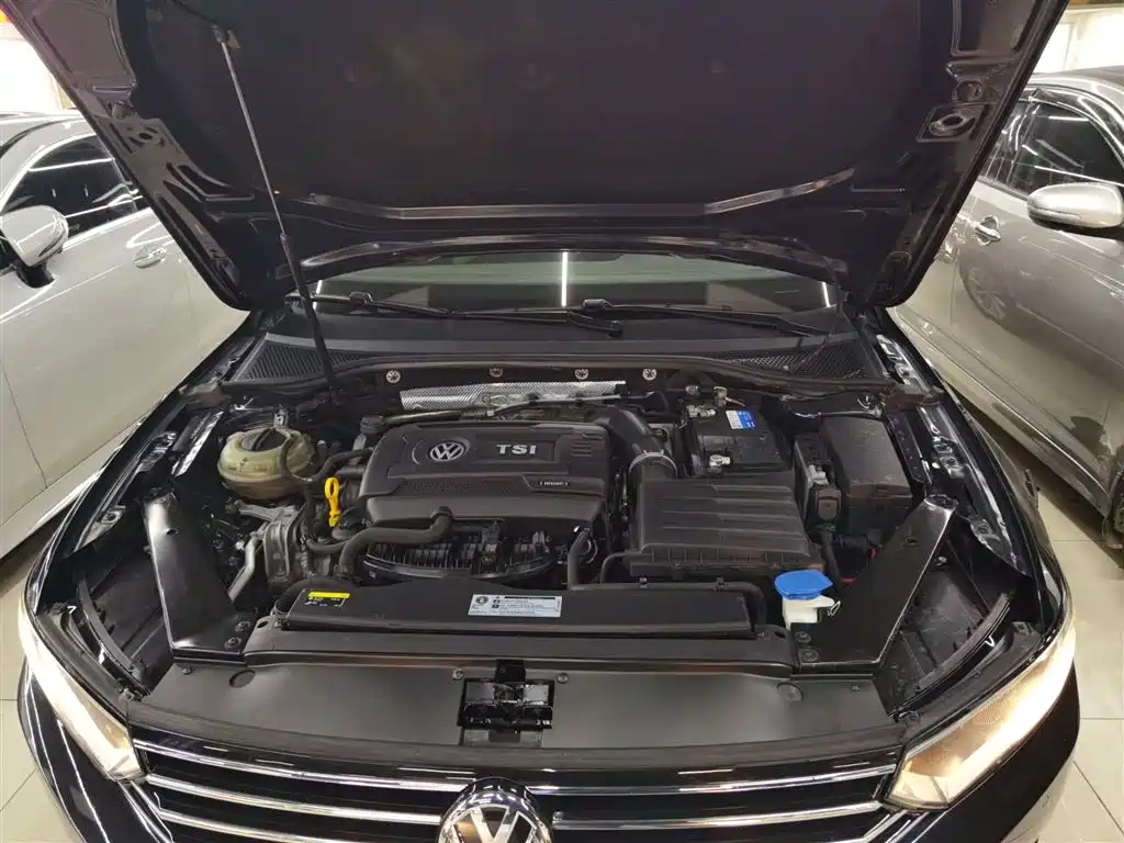 Volkswagen Magotan 2018 330TSI DSG Leading фото 16