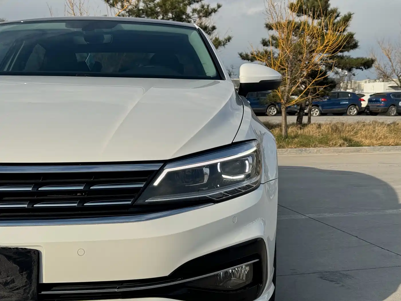 Volkswagen Lamando 2019 280TSI DSG Luxury Edition China VI фото 4
