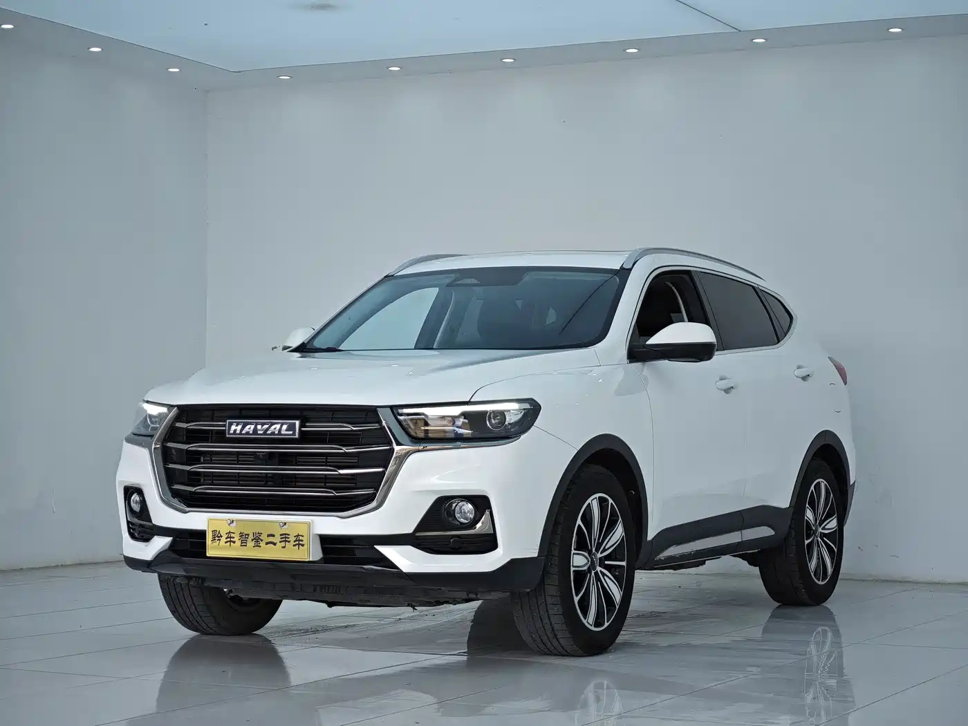 Haval H6 2023 National Trend Edition 1.5T Automatic Champion
