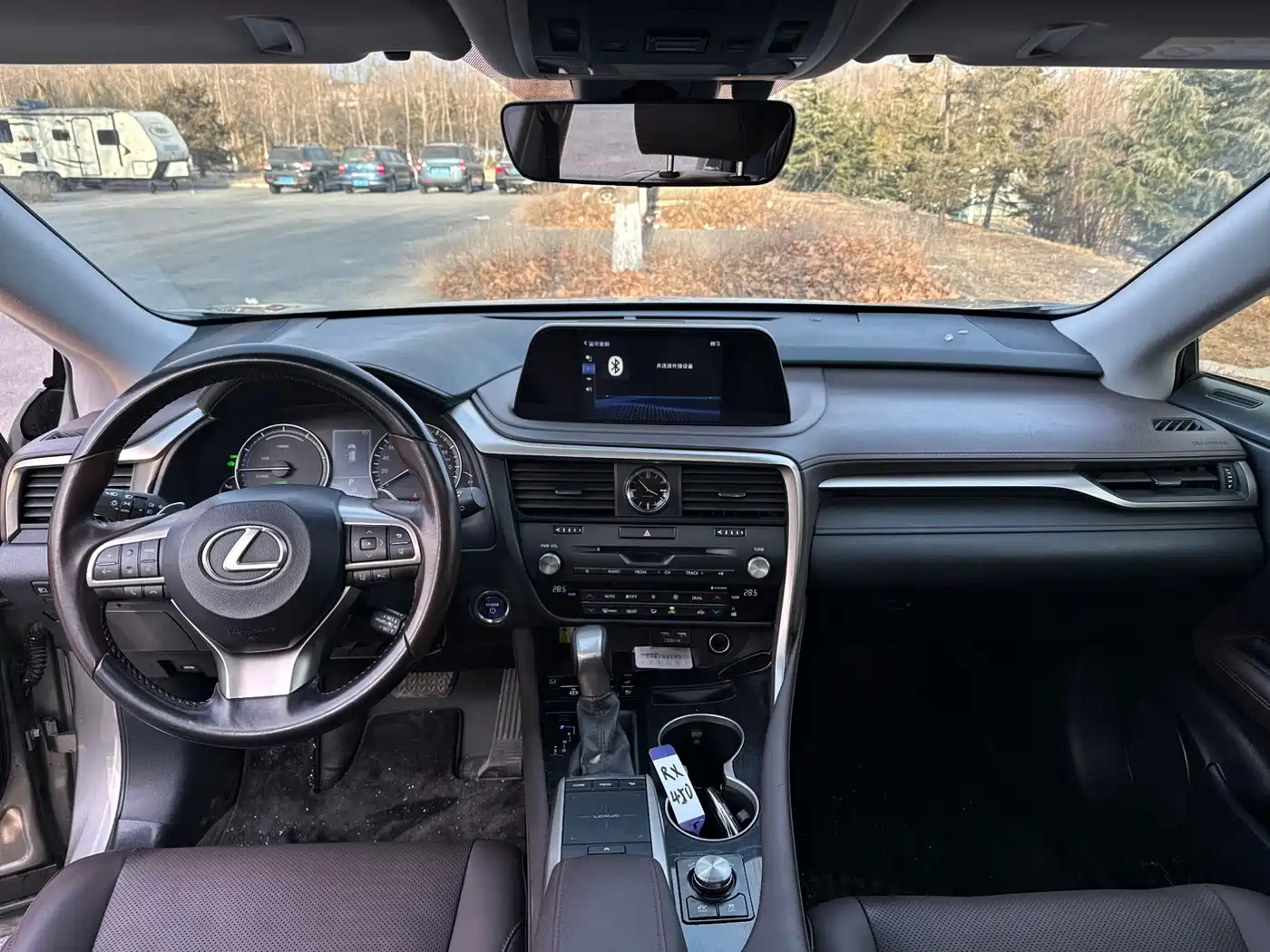 LEXUS RX