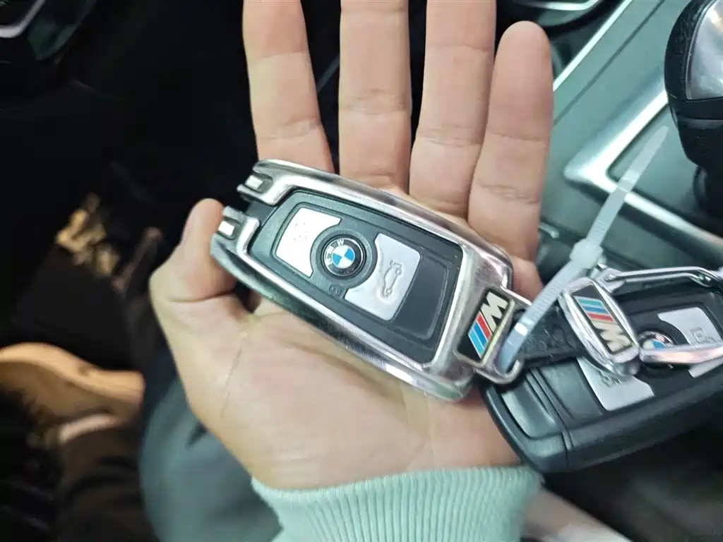 BMW 3 Series 2018 320Li Fashion Style фото 17