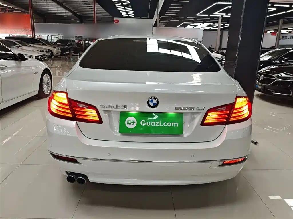 BMW 5 Series 2014 525Li Luxury Design Package фото 6