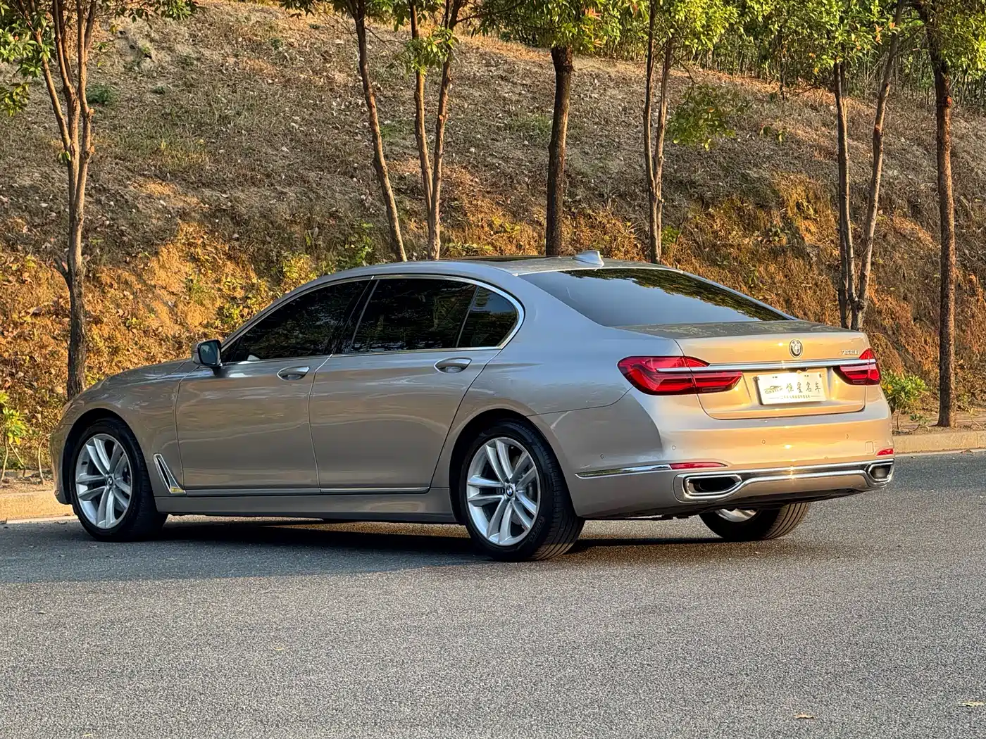 BMW 7 Series 2018 730Li Premium Type Excellence Package фото 7