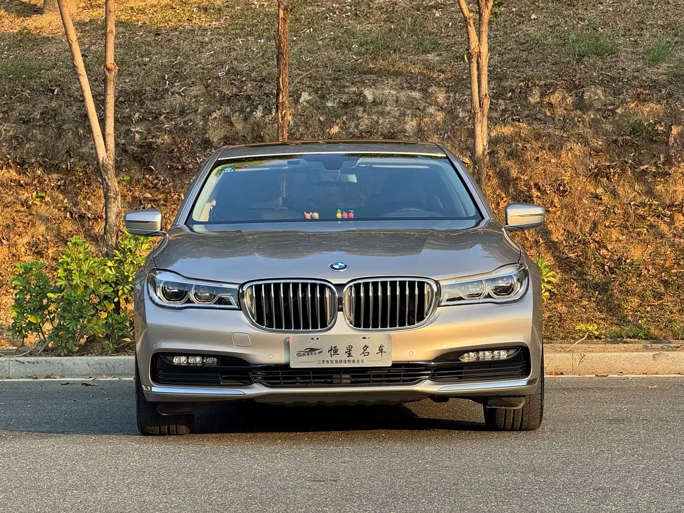 BMW 7 Series 2018 730Li Premium Type Excellence Package фото 2