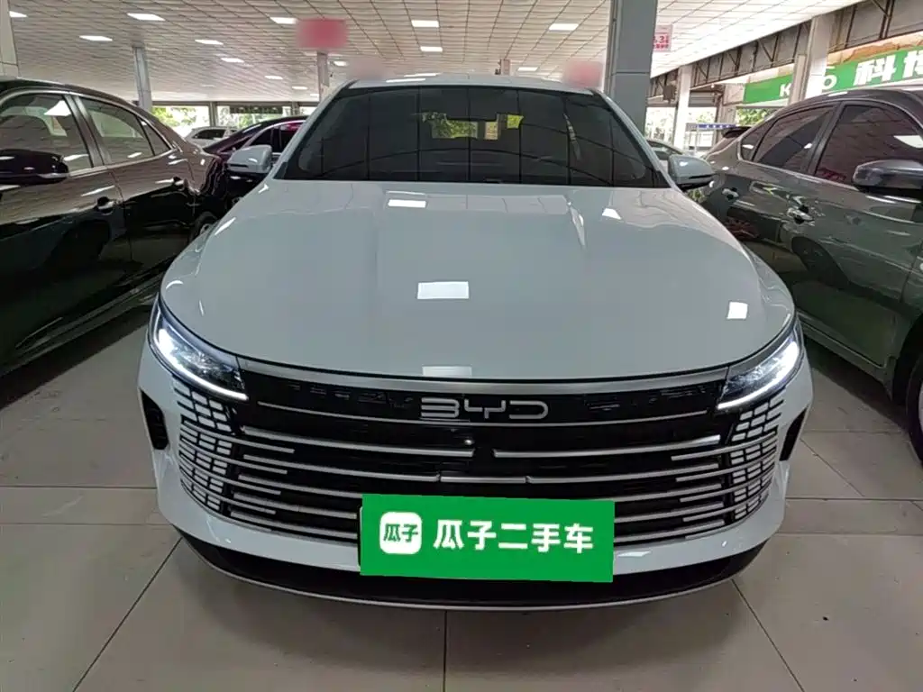 BYD Destroyer 05 2024 Glory Edition DM-i 55KM Luxury фото 3