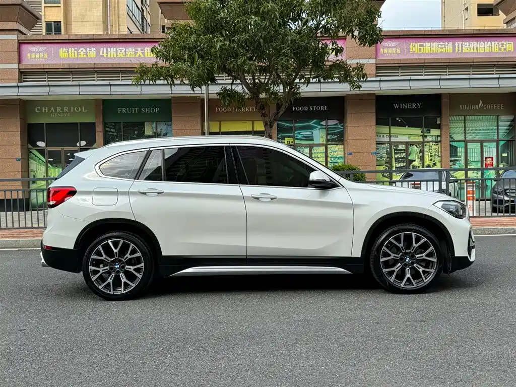 BMW X1 2020 xDrive25Li Premium Edition фото 9