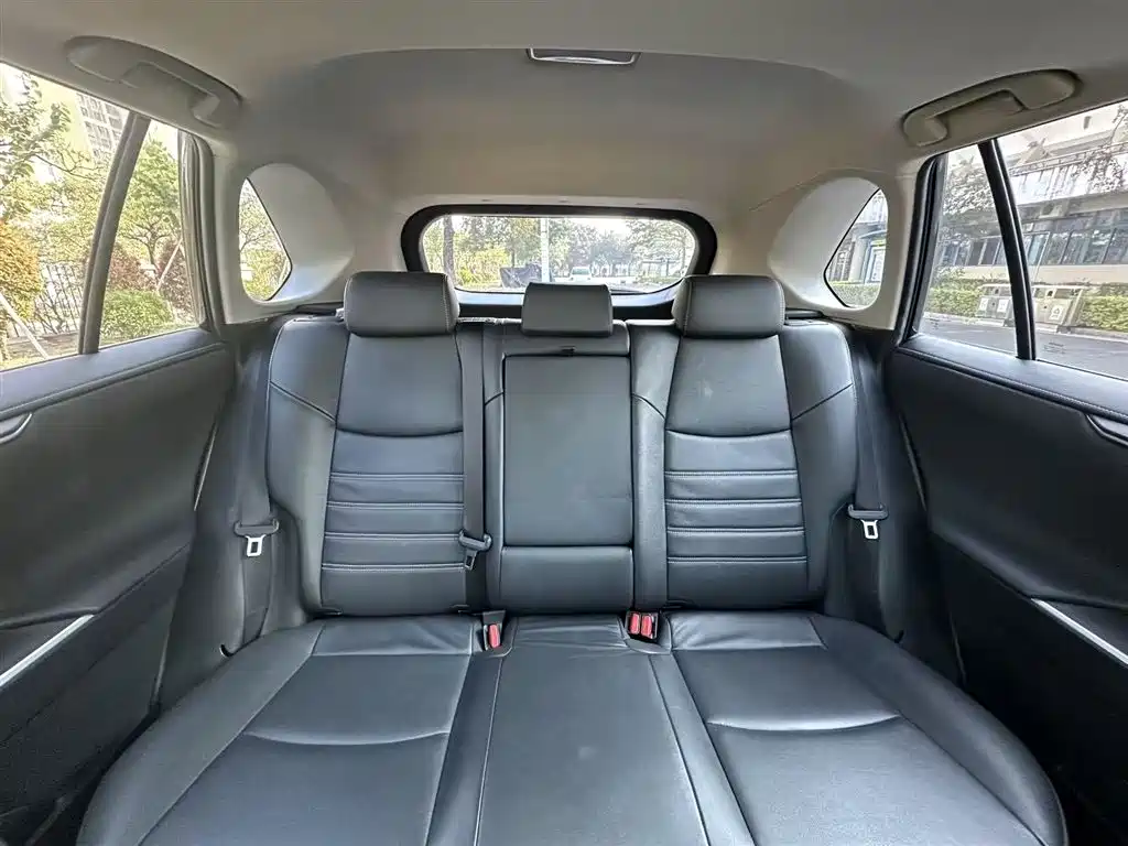 Toyota RAV4 Rongfang 2022 2.0L CVT 2WD Trend Plus Edition фото 17