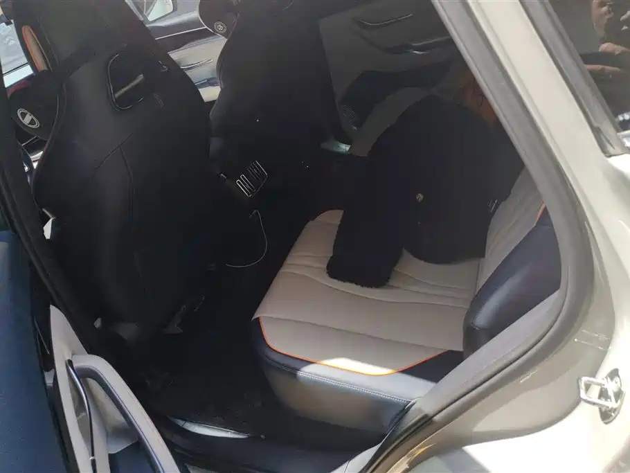 BYD SONGJIANG NEW ENERGY