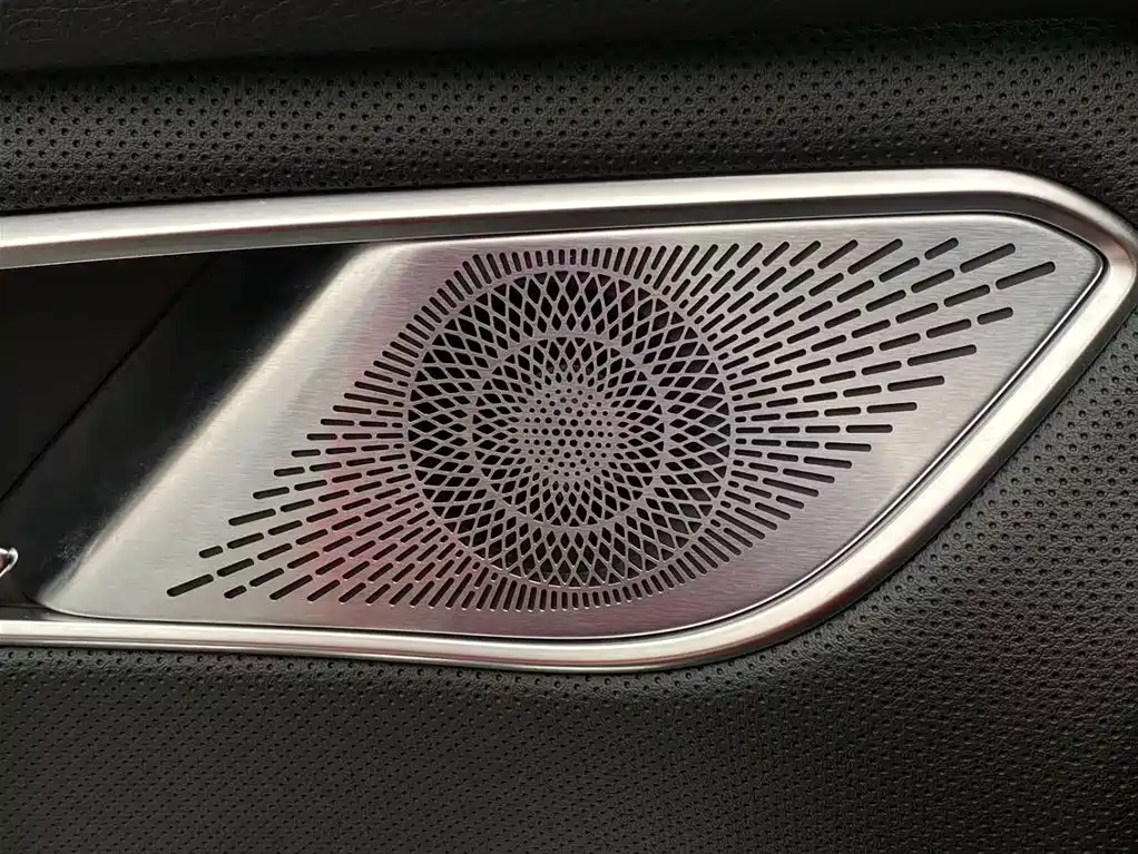 Hongqi HQ9 PHEV 2024 Model 2.0T AWD Luxury Edition фото 22