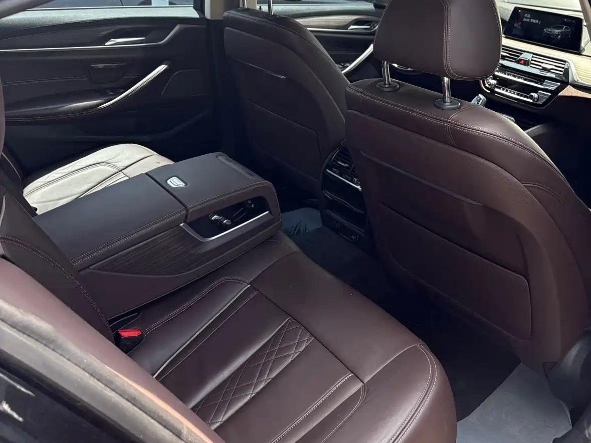 BMW 5 Series 2019 530Li Leading Luxury Package фото 3