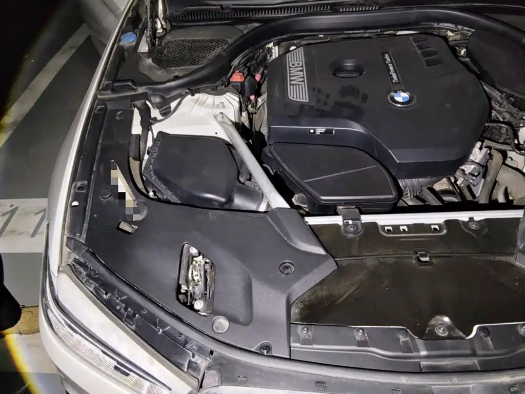 BMW 5 Series 2020 530Li Leading M Sport Package фото 20