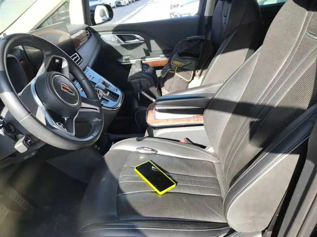 Hongqi HQ9 2023 2.0T Smart Connect Flag Enjoy Edition фото 15
