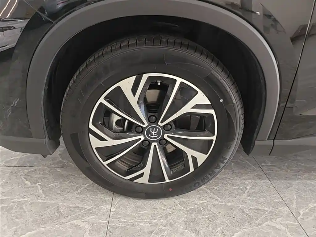 BYD Song Pro New Energy 2025 2nd Generation Smart Drive Edition DM-i 115KM Surpassing Type фото 23