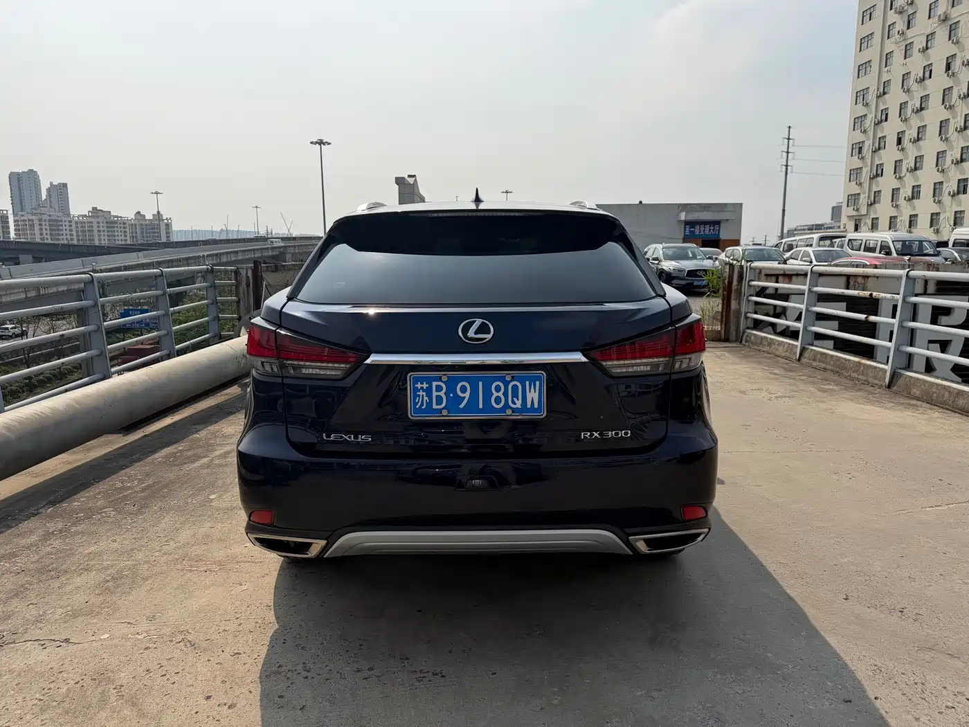 Lexus RX 2020 300 4WD Elegance Edition China VI фото 7