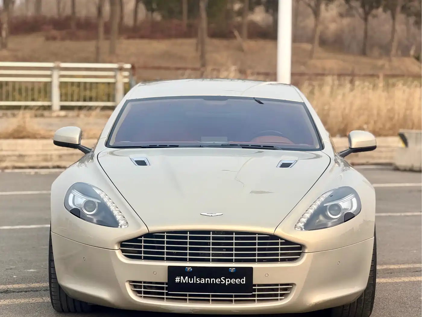 Aston Martin Rapide 2010 6.0L фото 2
