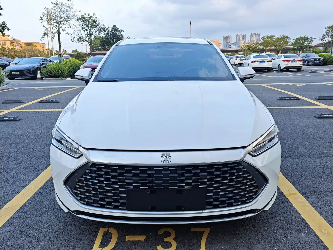 BYD Qin PLUS 2021 2021 DM-i 120KM Premium