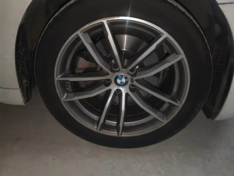 BMW 5 Series 2020 525Li M Sport Package фото 6