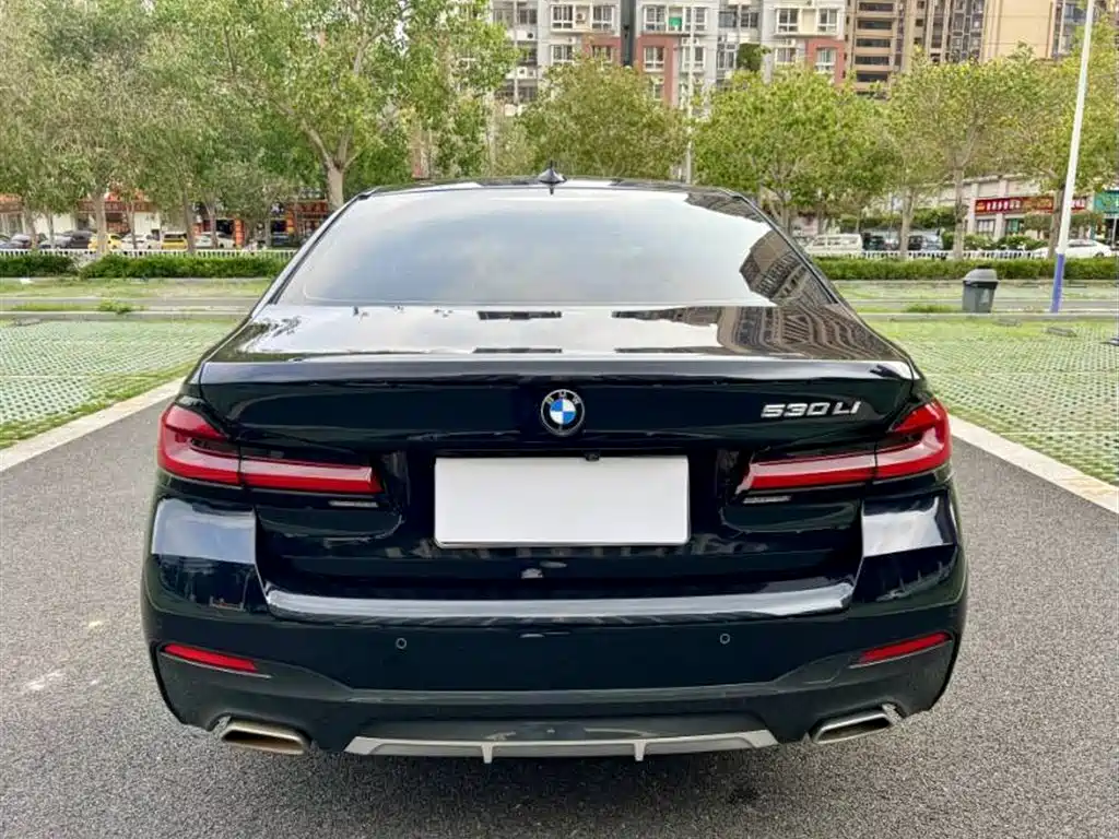 BMW 5 Series 2021 530Li Leading M Sport Package фото 8