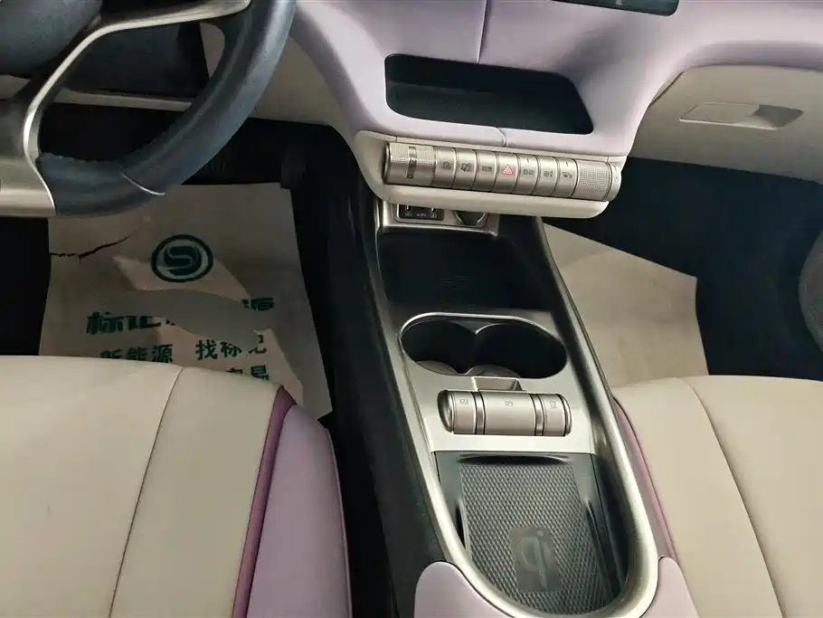 BYD Dolphin 2021 Model 405km Fashion Edition фото 16