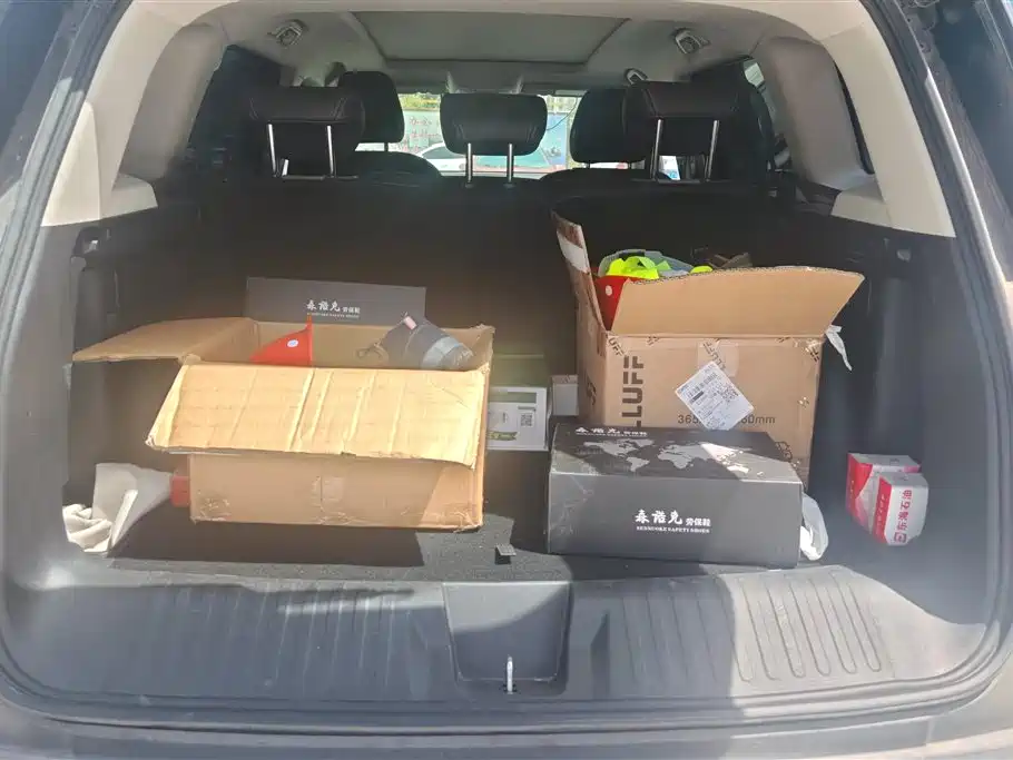 Haval Big Dog 2024 1.5T DCT Border Collie Edition фото 4