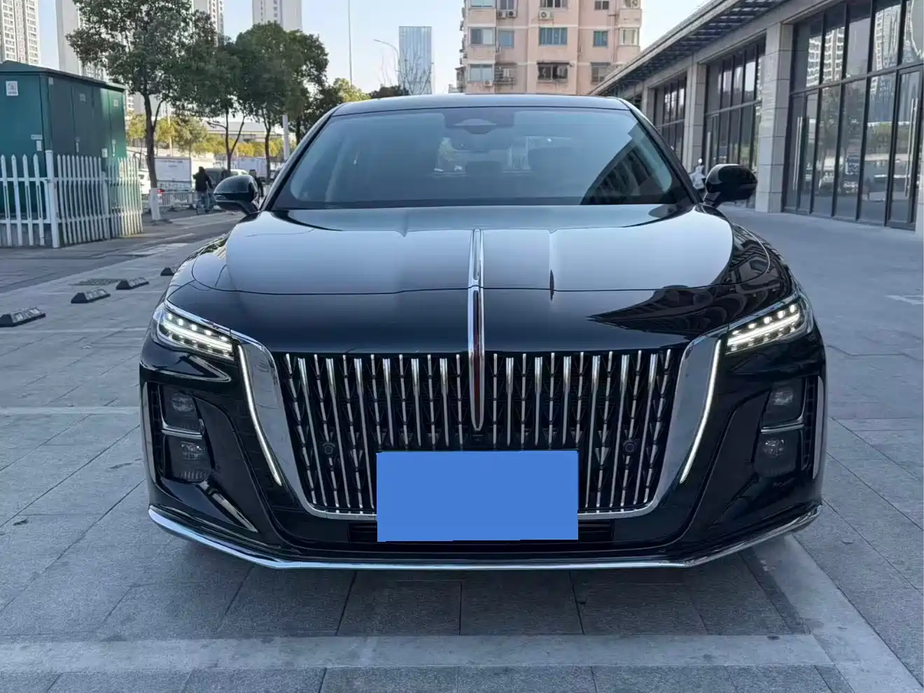 Hongqi H5 2023 2.0T Auto Smart Connect Flag Comfort фото 2
