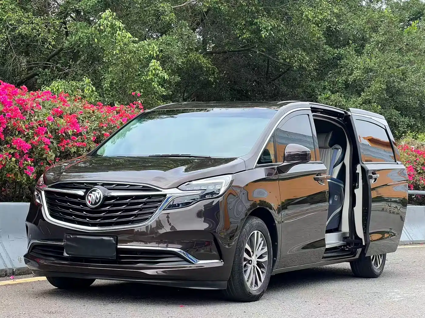 Buick GL8 2022 ES Landmark 653T Comfort фото 2
