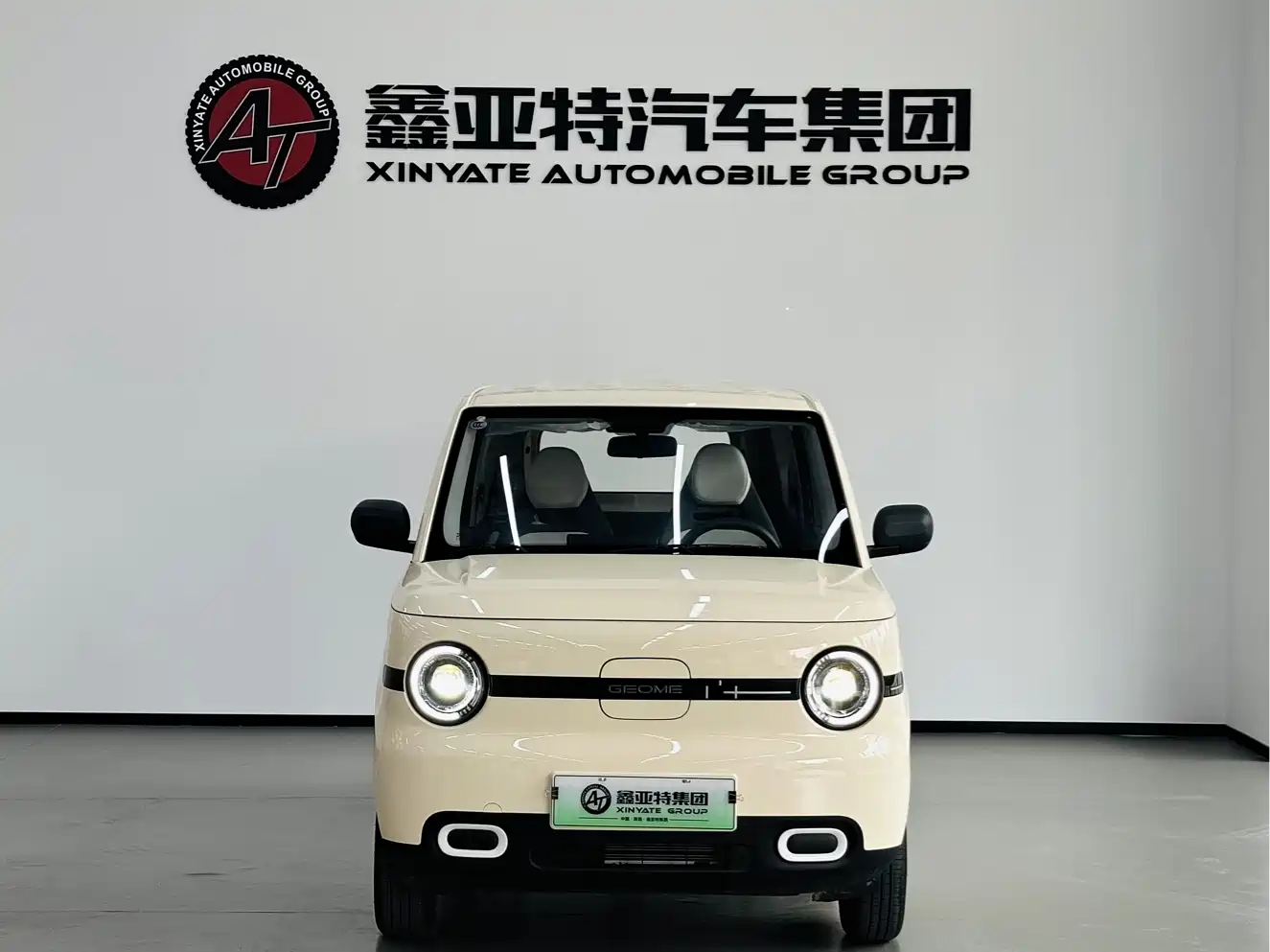 Geely Galaxy Panda 2025 Panda mini 210km Vitality Bear фото 3