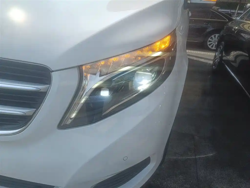 Mercedes-Benz V-Class 2018 V 260 Pilot Edition China V фото 24