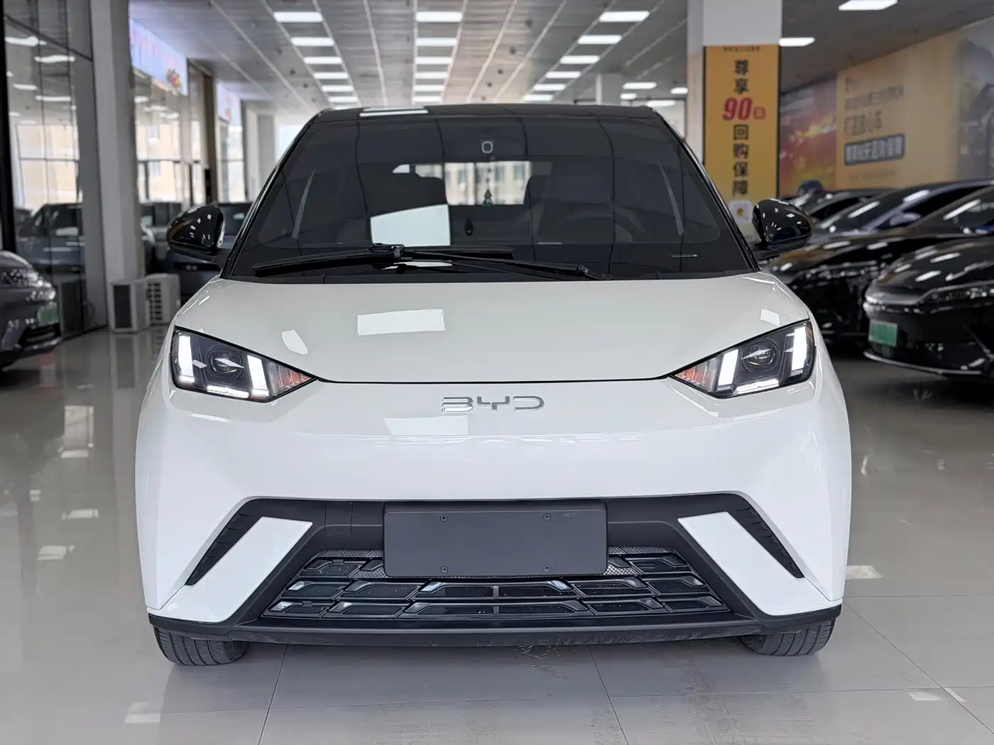 BYD Seagull 2023 2023 Freedom Edition