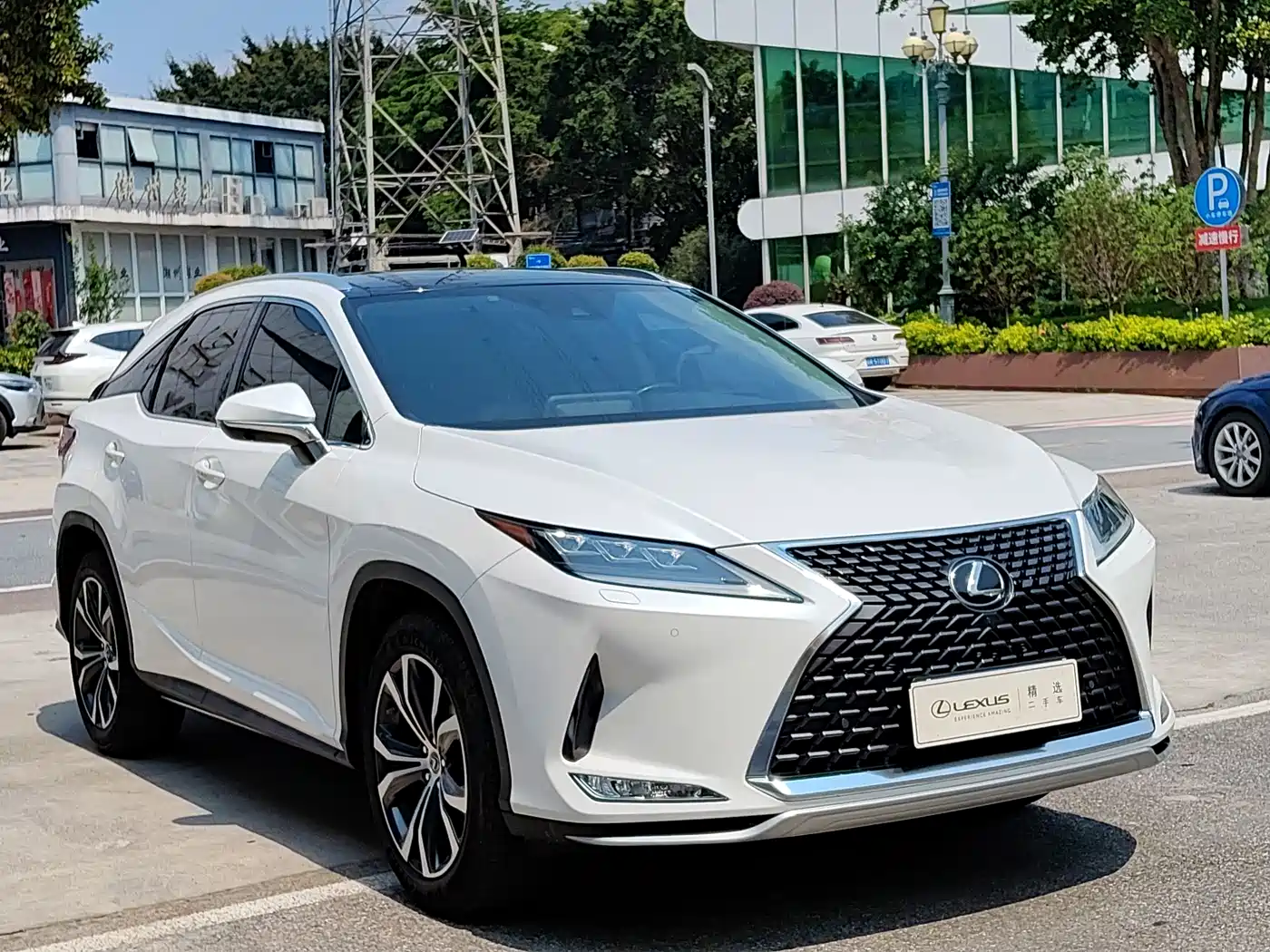 Lexus RX 2020 300 4WD Elegance Edition China VI фото 2